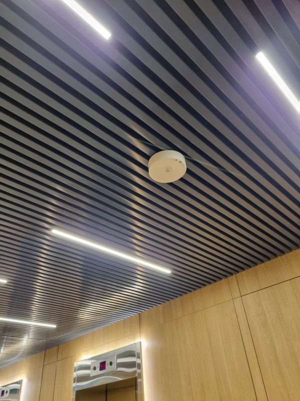 WhatsApp Image 2026-02-25 at 19.41.46